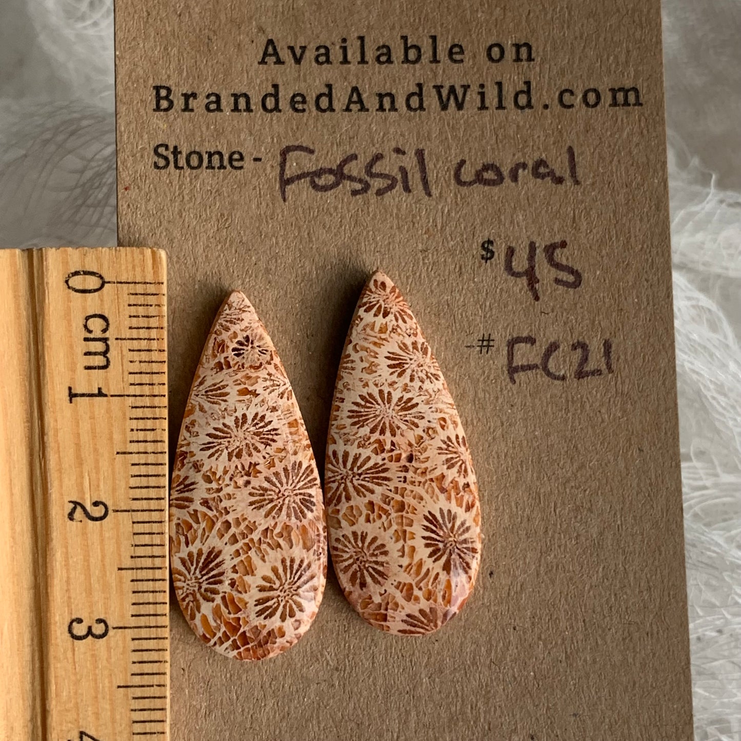Fossil Coral Cabochon - FC21