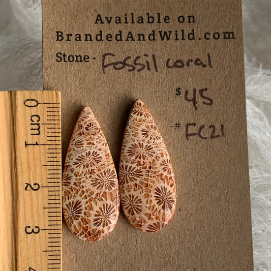 Fossil Coral Cabochon - FC21