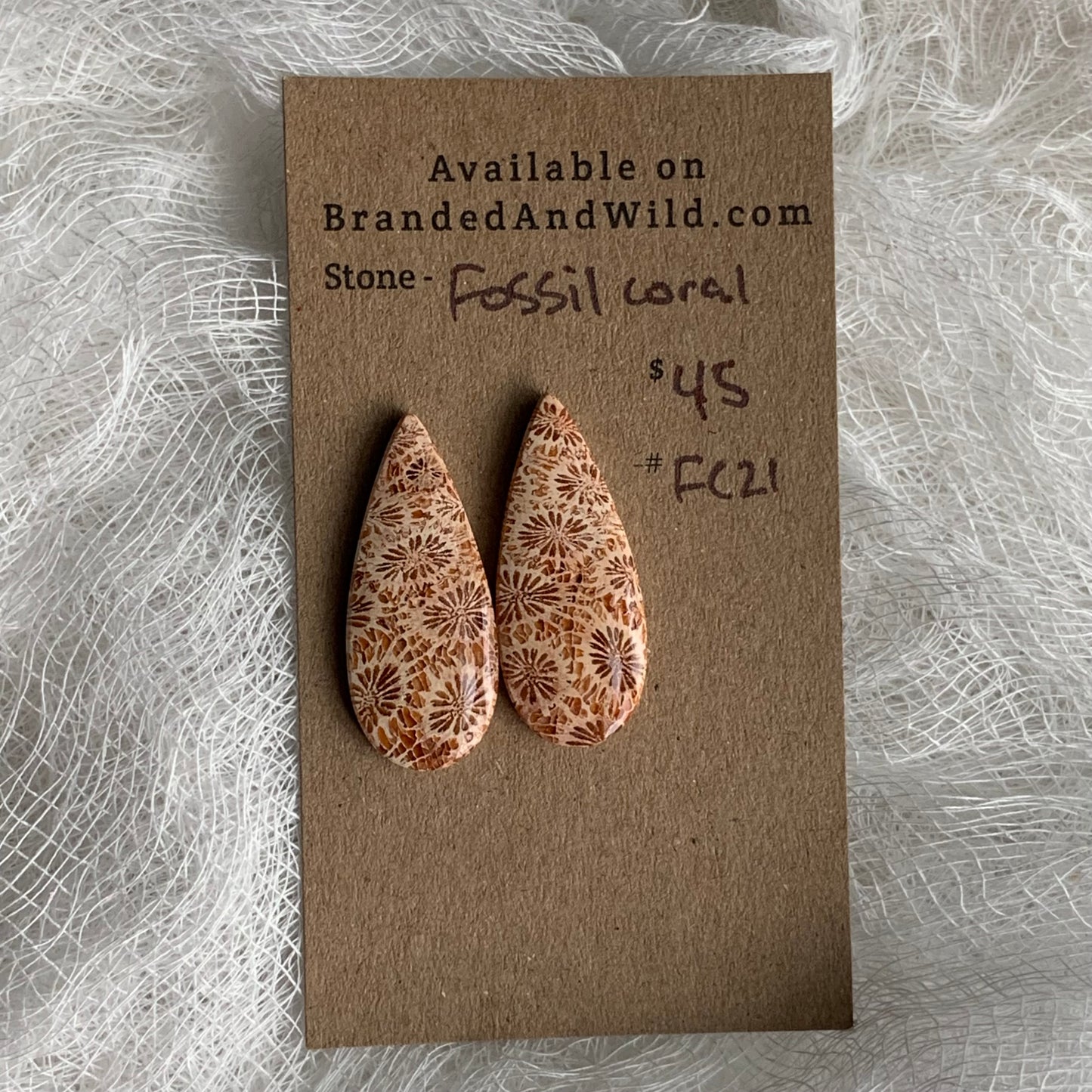 Fossil Coral Cabochon - FC21