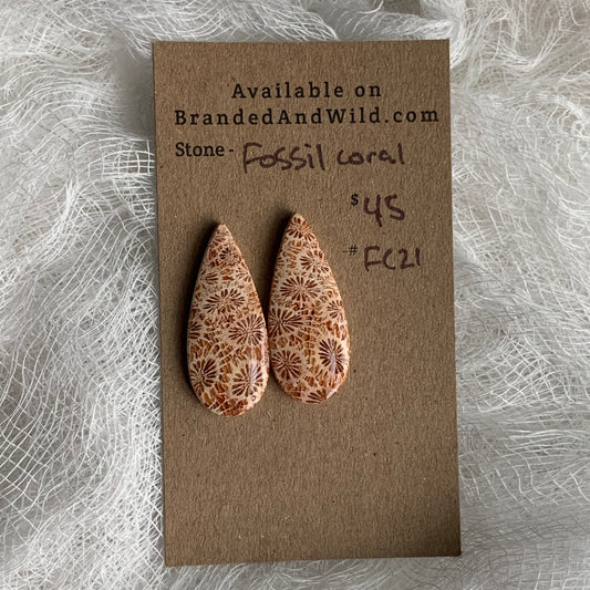 Fossil Coral Cabochon - FC21