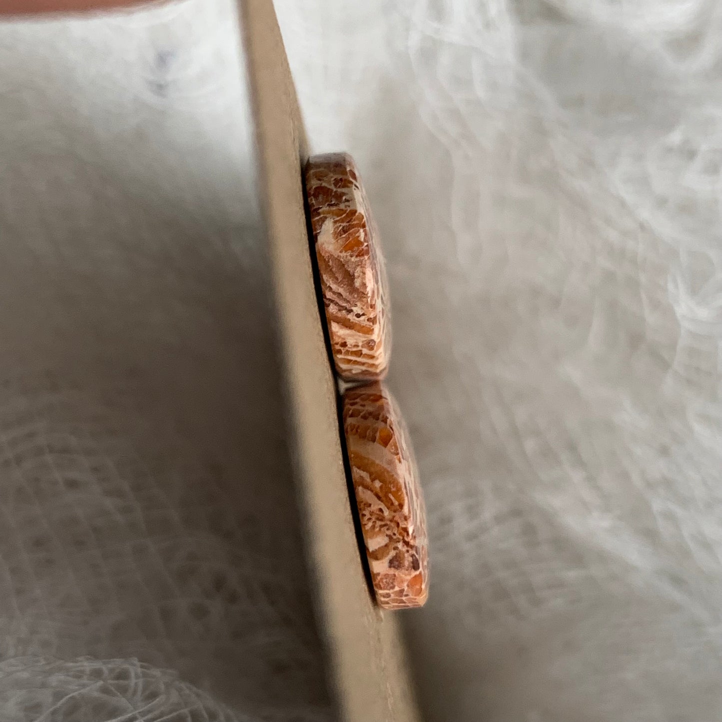 Fossil Coral Cabochon - FC21