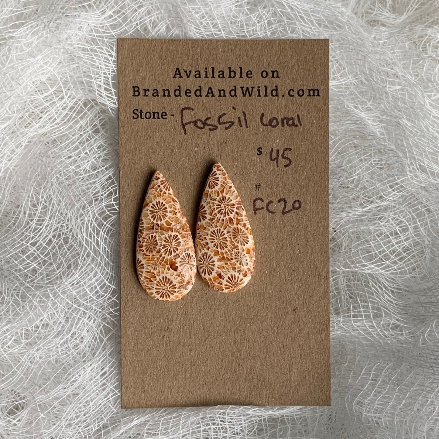 Fossil Coral Cabochon - FC20