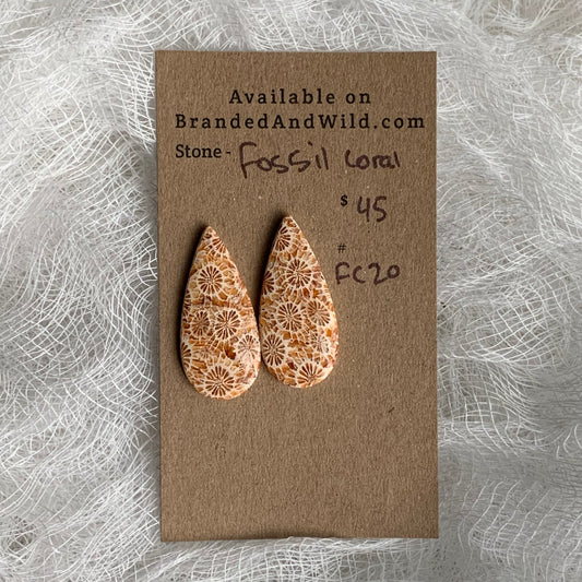 Fossil Coral Cabochon - FC20