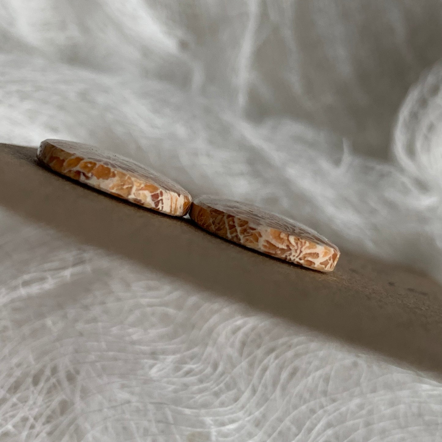 Fossil Coral Cabochon - FC20