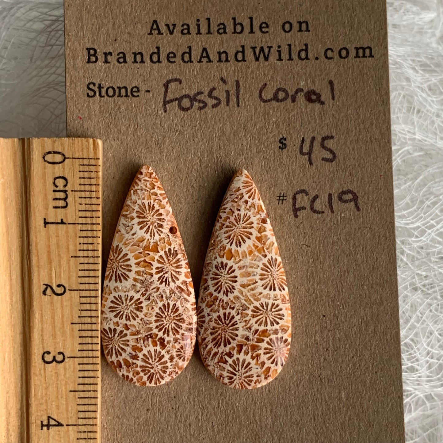 Fossil Coral Cabochon - FC20