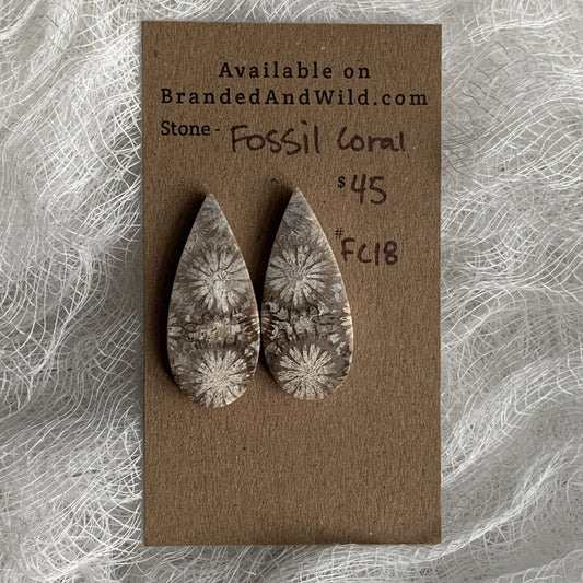 Fossil Coral Cabochon - FC19