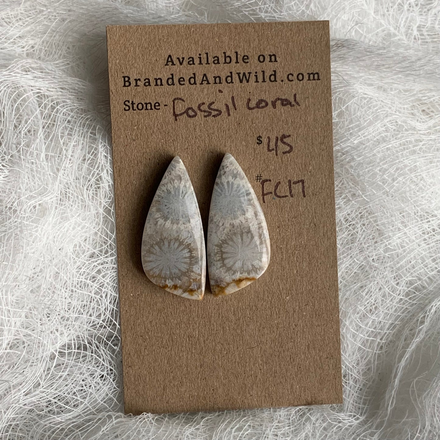 Fossil Coral Cabochon - FC17