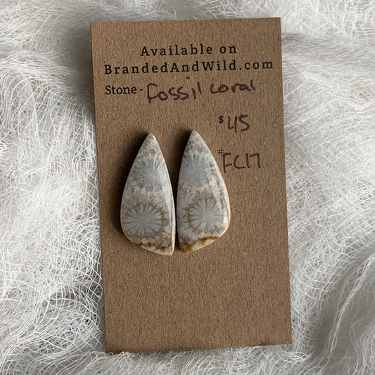 Fossil Coral Cabochon - FC17