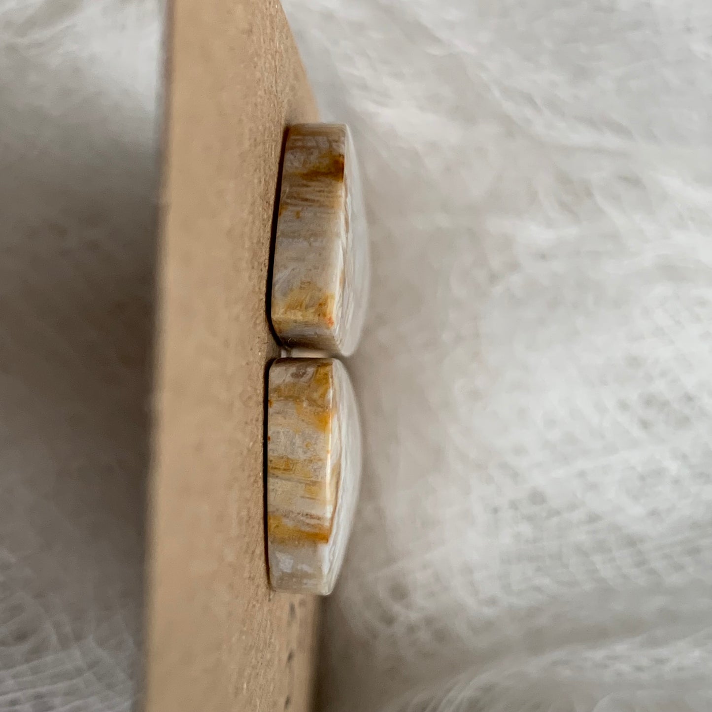 Fossil Coral Cabochon - FC17