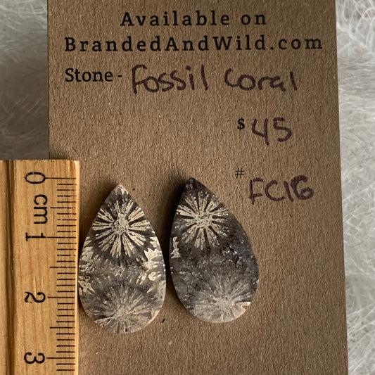 Fossil Coral Cabochon - FC16