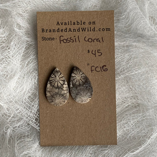 Fossil Coral Cabochon - FC16
