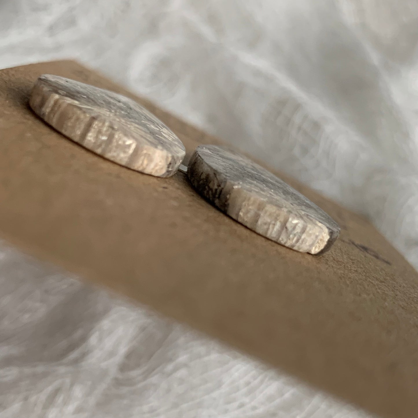 Fossil Coral Cabochon - FC16