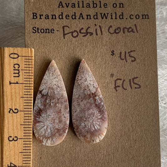Fossil Coral Cabochon - FC15