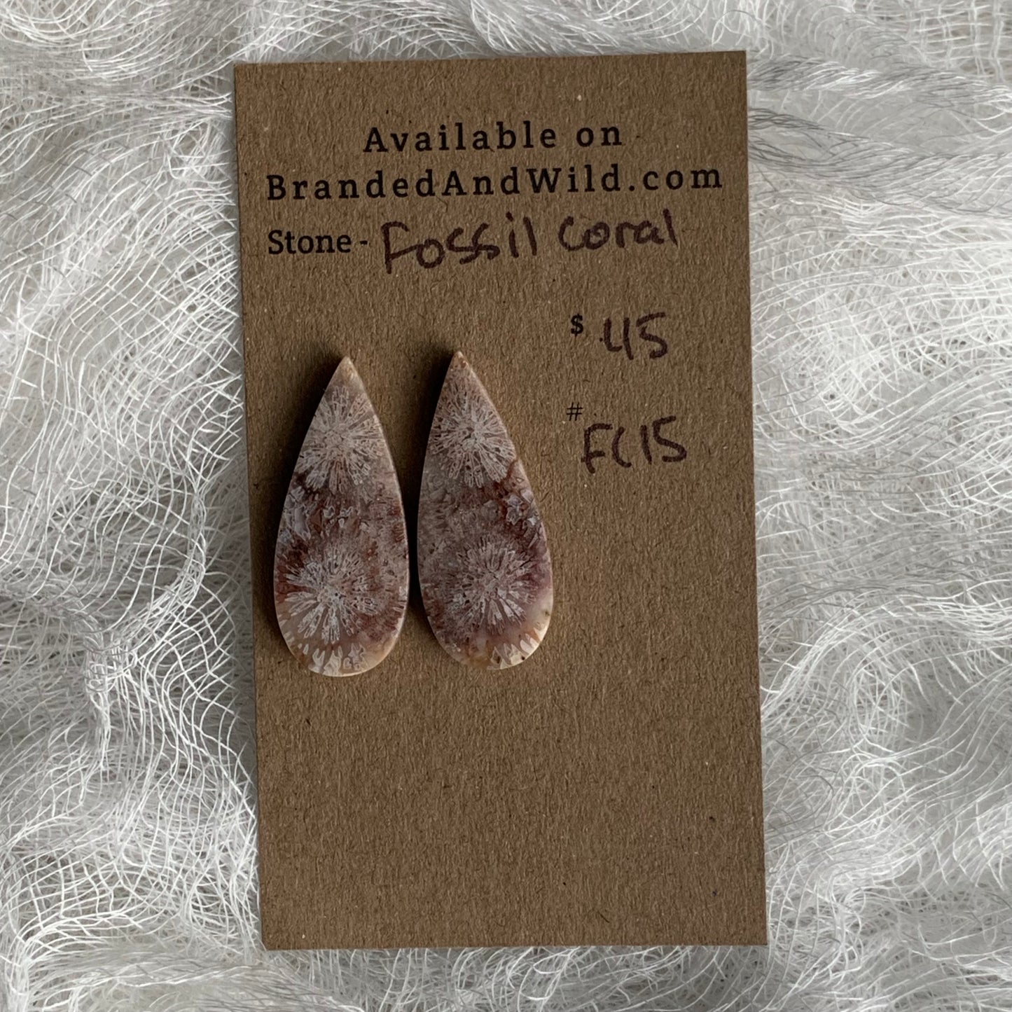 Fossil Coral Cabochon - FC15