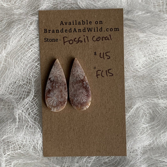 Fossil Coral Cabochon - FC15