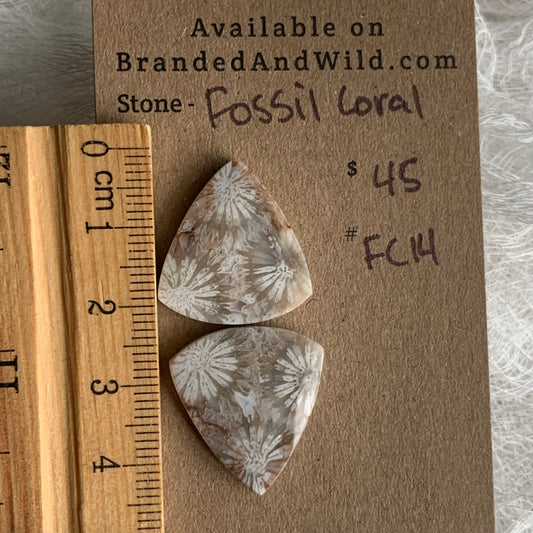 Fossil Coral Cabochon - FC14