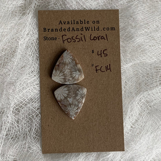 Fossil Coral Cabochon - FC14