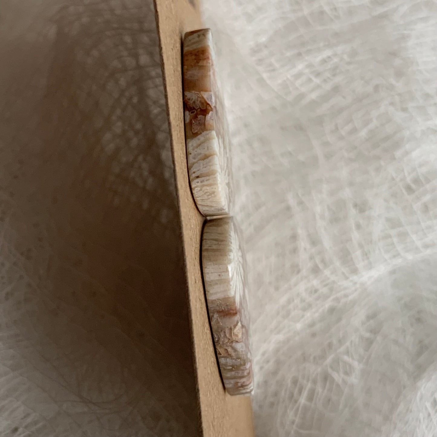 Fossil Coral Cabochon - FC14