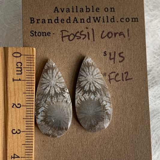 Fossil Coral Cabochon - FC12