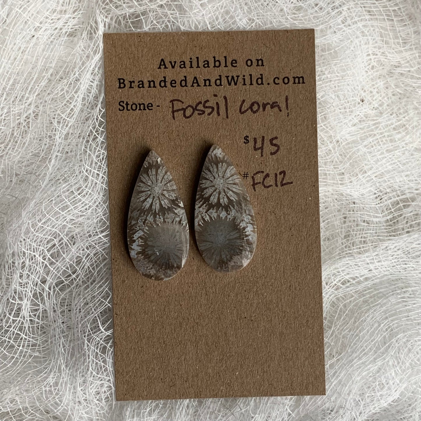 Fossil Coral Cabochon - FC12
