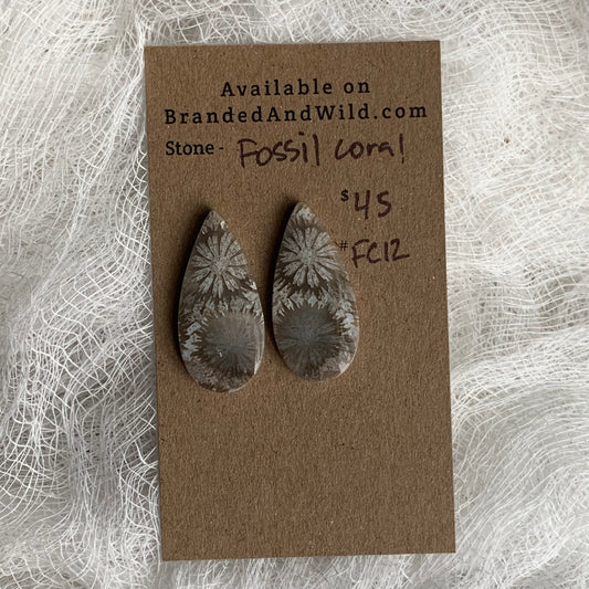 Fossil Coral Cabochon - FC12
