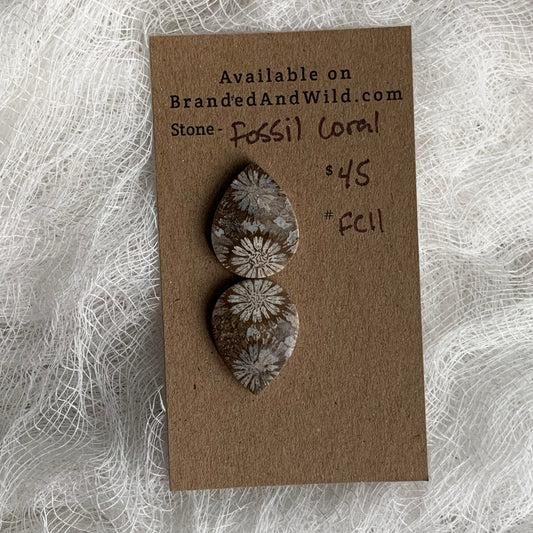 Fossil Coral Cabochon - FC11