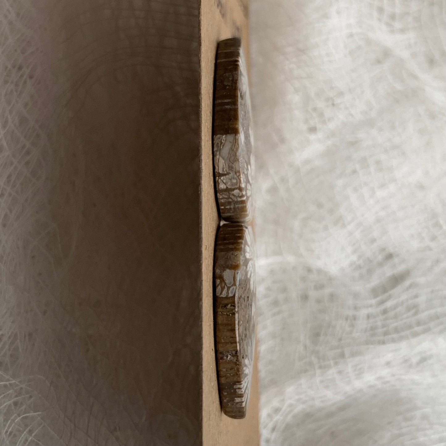 Fossil Coral Cabochon - FC11