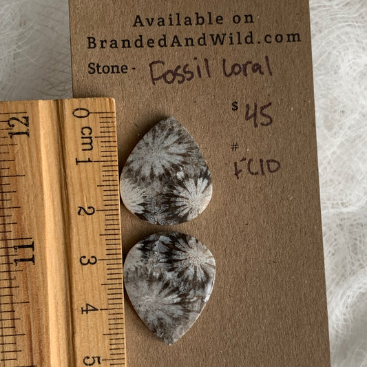Fossil Coral Cabochon - FC10