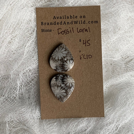 Fossil Coral Cabochon - FC10