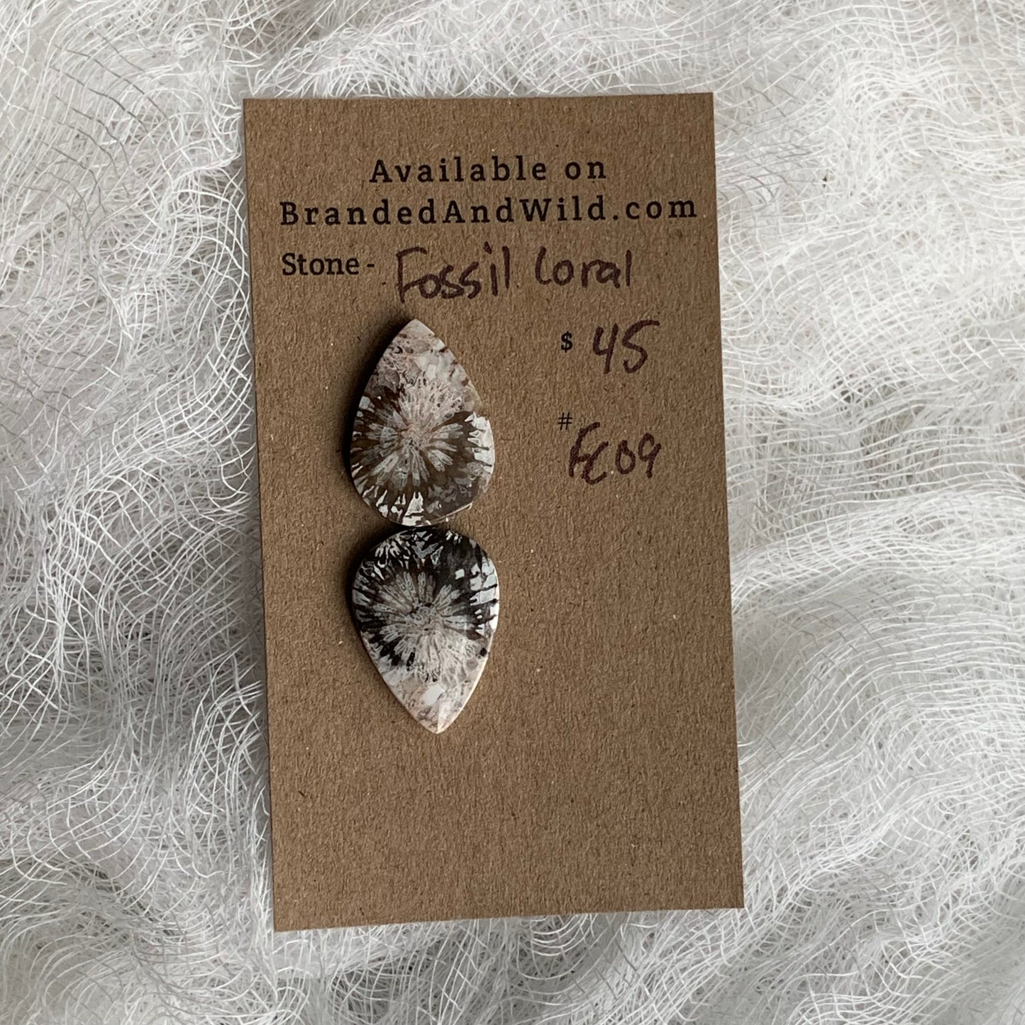 Fossil Coral Cabochon - FC09