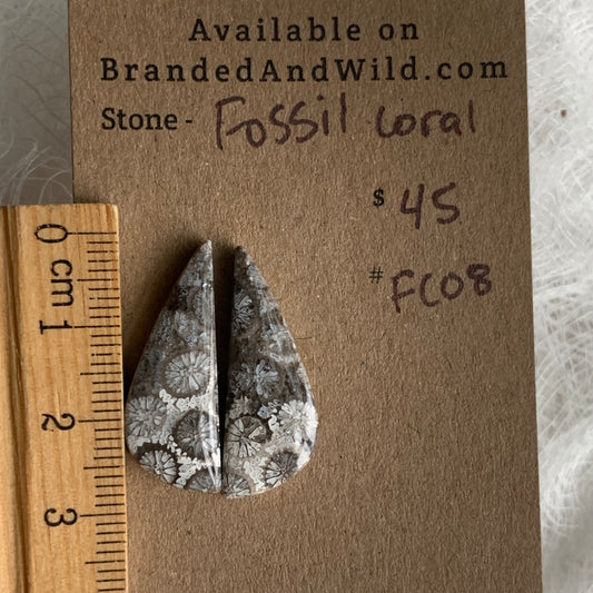 Fossil Coral Cabochon - FC08