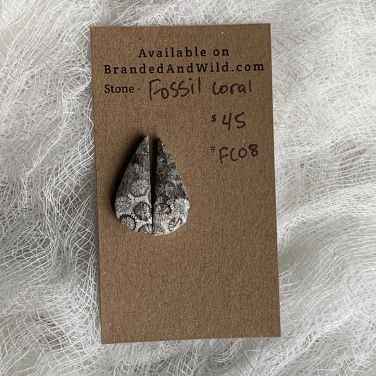 Fossil Coral Cabochon - FC08