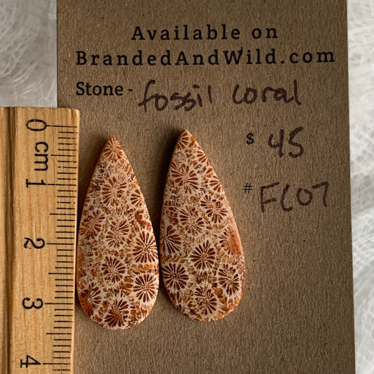Fossil Coral Cabochon - FC07