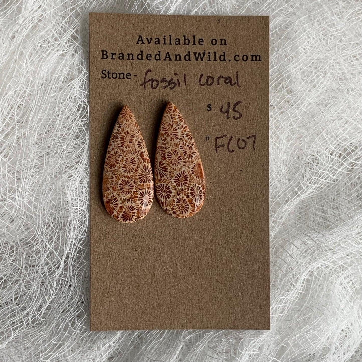 Fossil Coral Cabochon - FC07