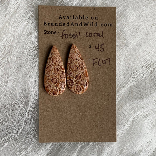 Fossil Coral Cabochon - FC07