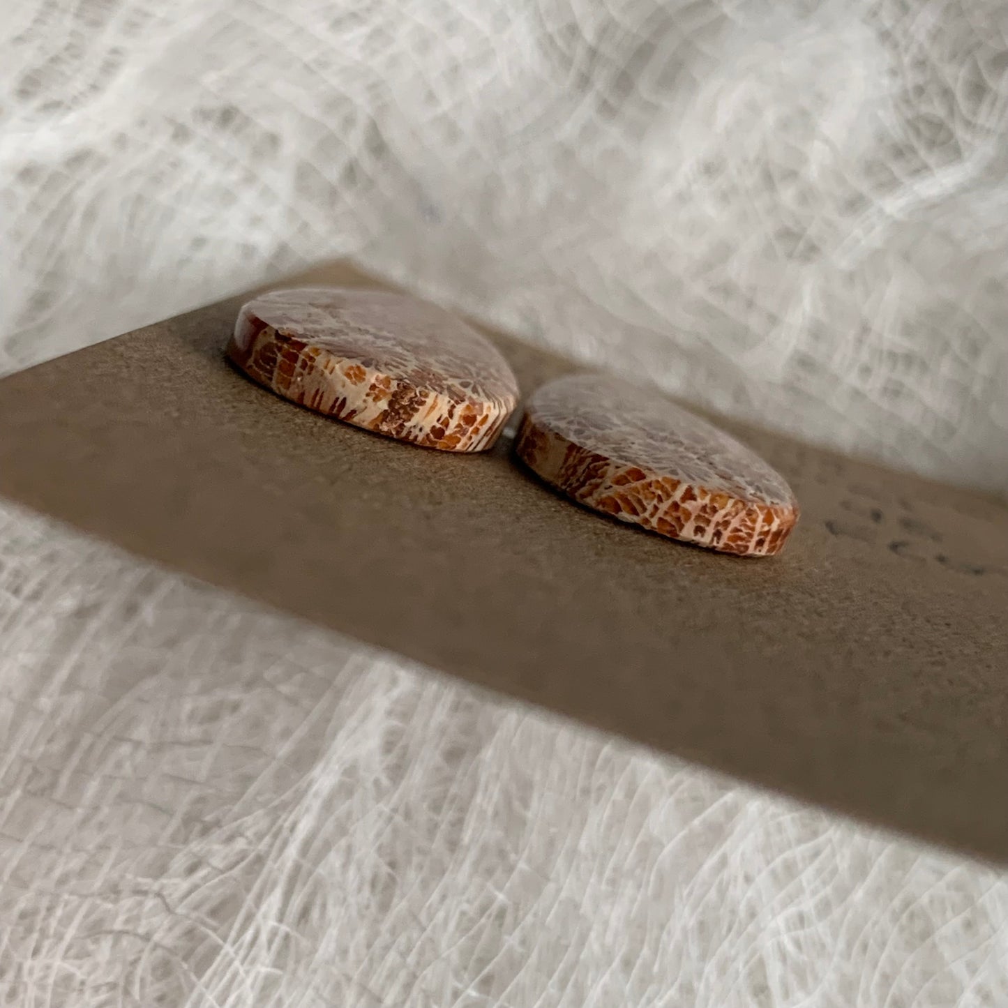 Fossil Coral Cabochon - FC07