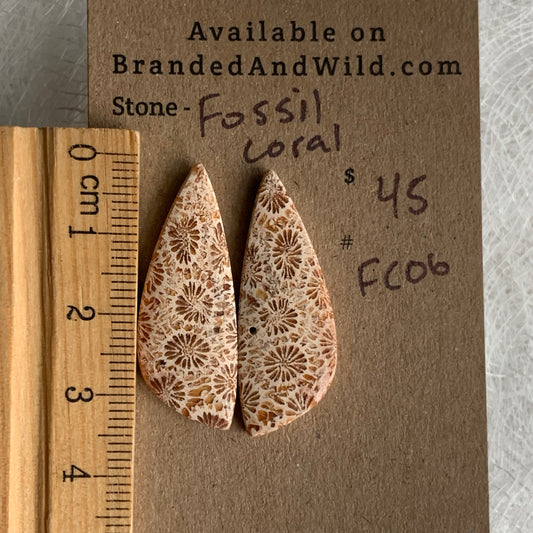 Fossil Coral Cabochon - FC06