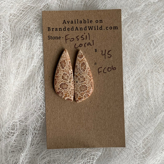 Fossil Coral Cabochon - FC06
