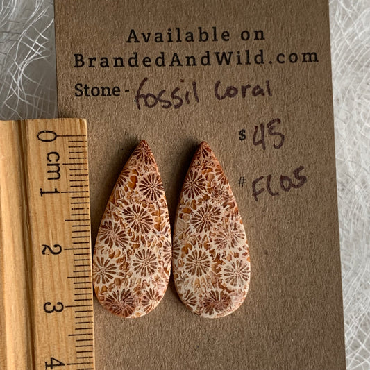 Fossil Coral Cabochon - FC05