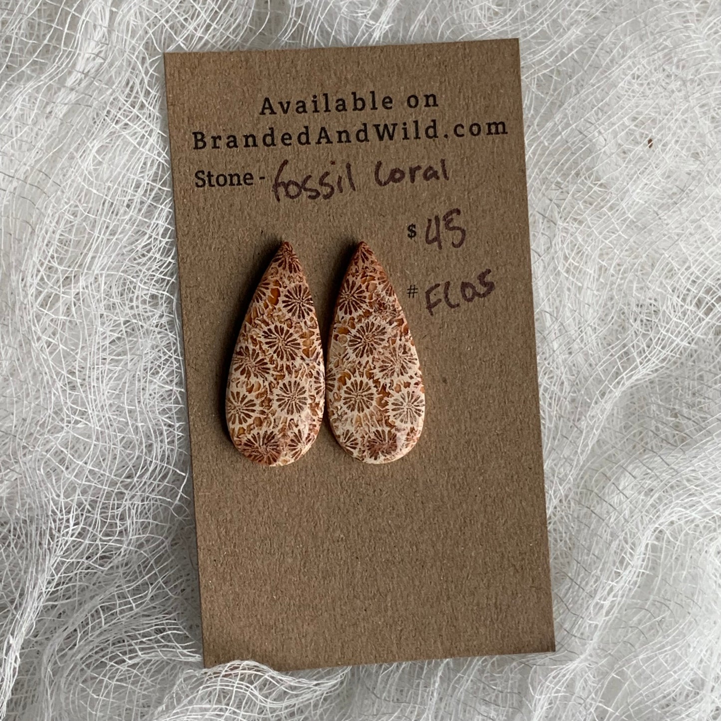 Fossil Coral Cabochon - FC05