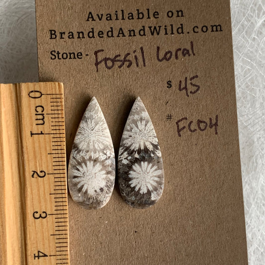 Fossil Coral Cabochon - FC04