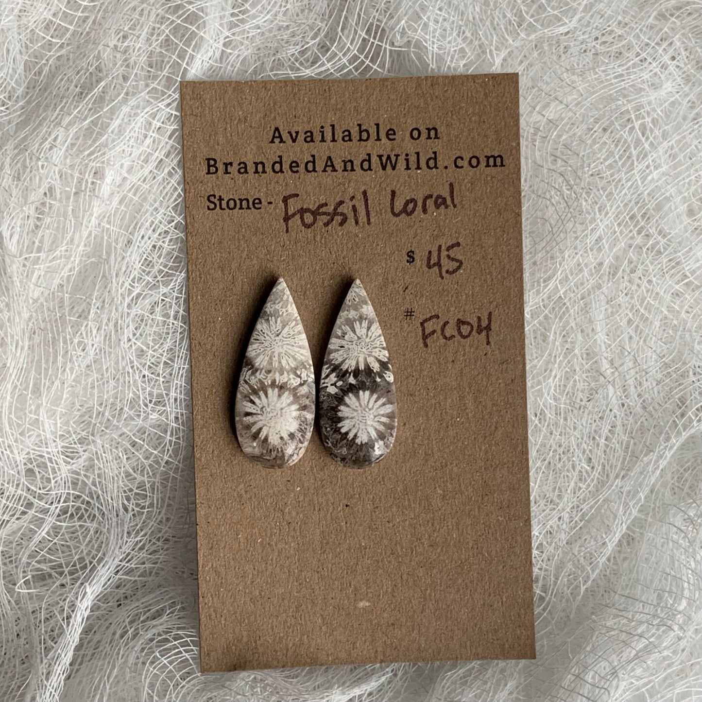 Fossil Coral Cabochon - FC04