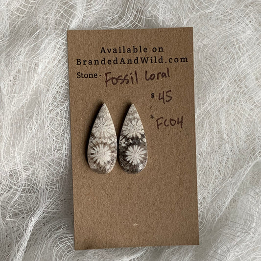 Fossil Coral Cabochon - FC04