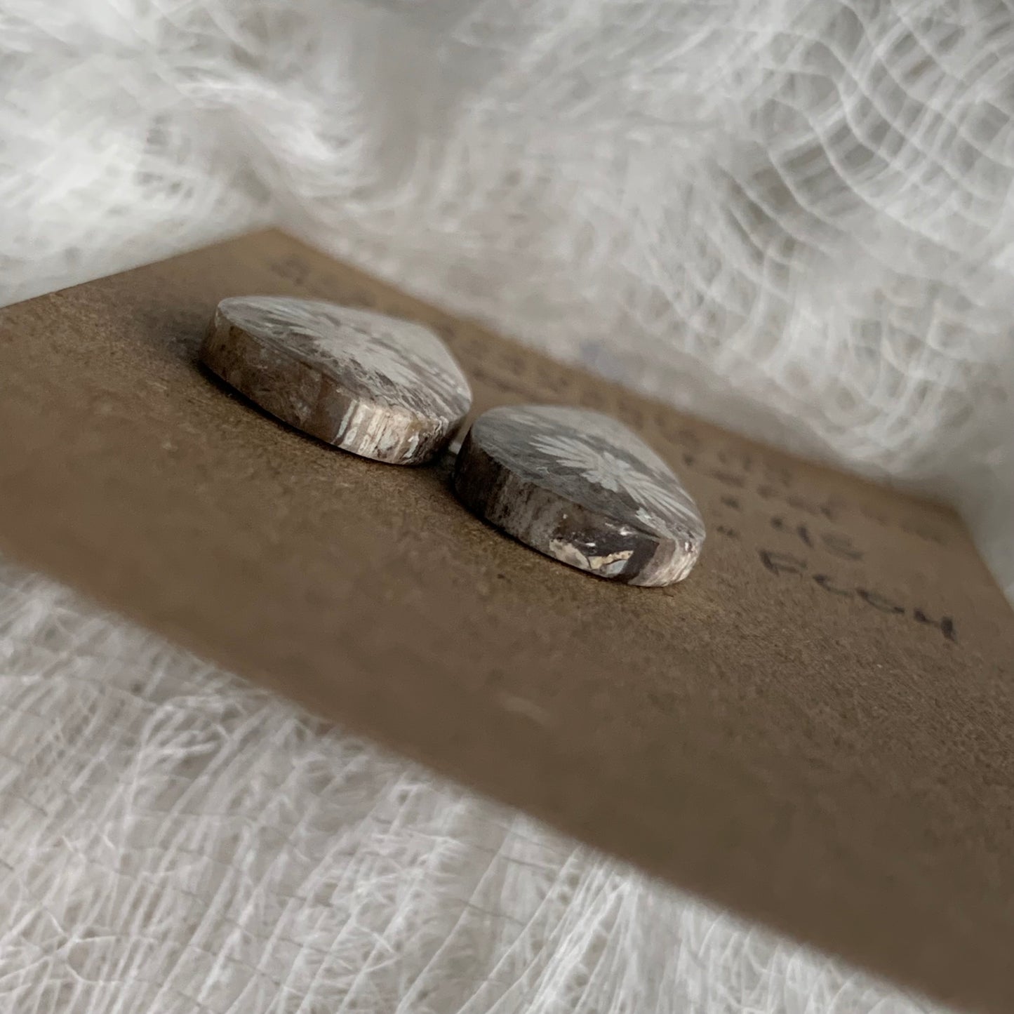 Fossil Coral Cabochon - FC04