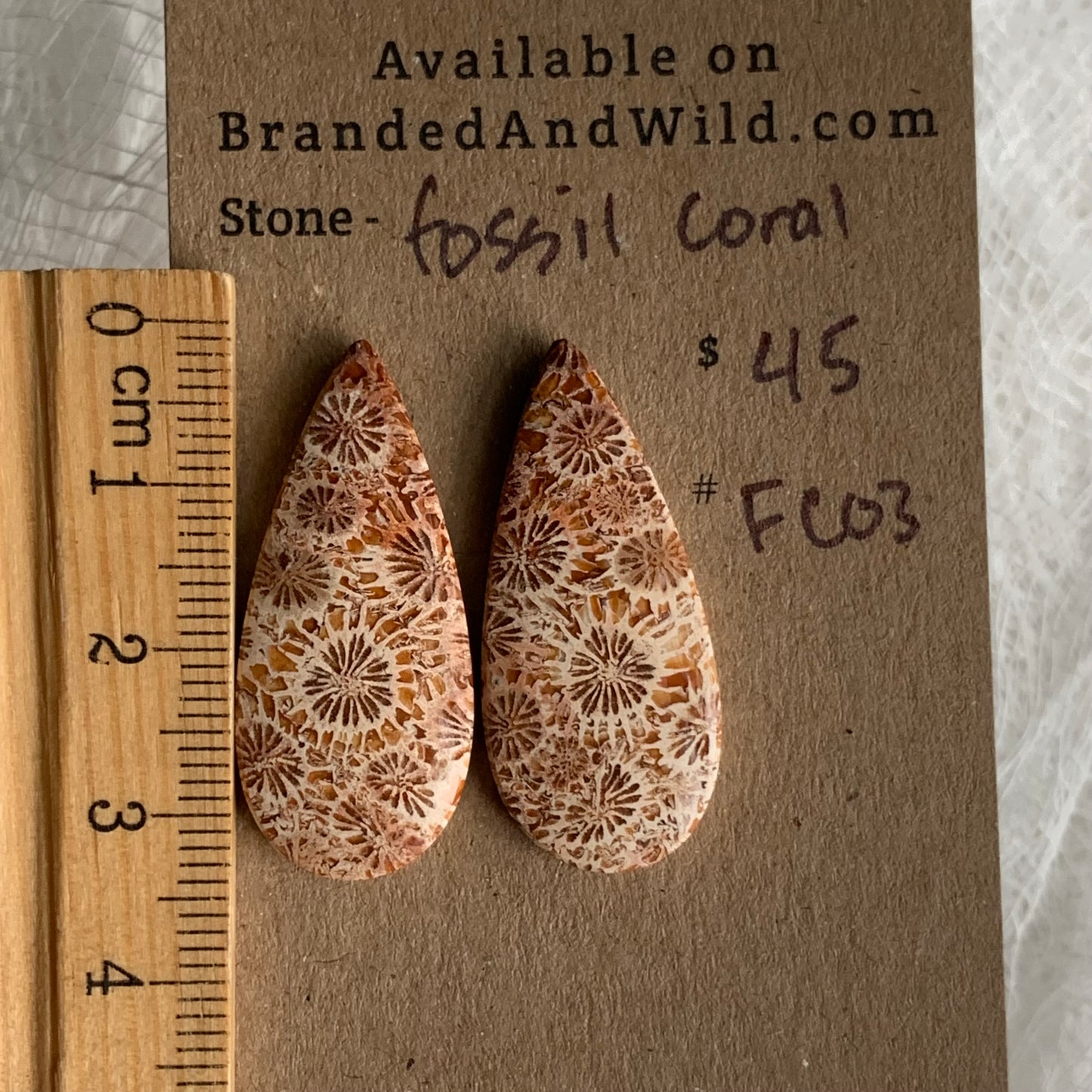 Fossil Coral Cabochon - FC03