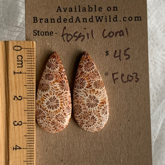 Fossil Coral Cabochon - FC03