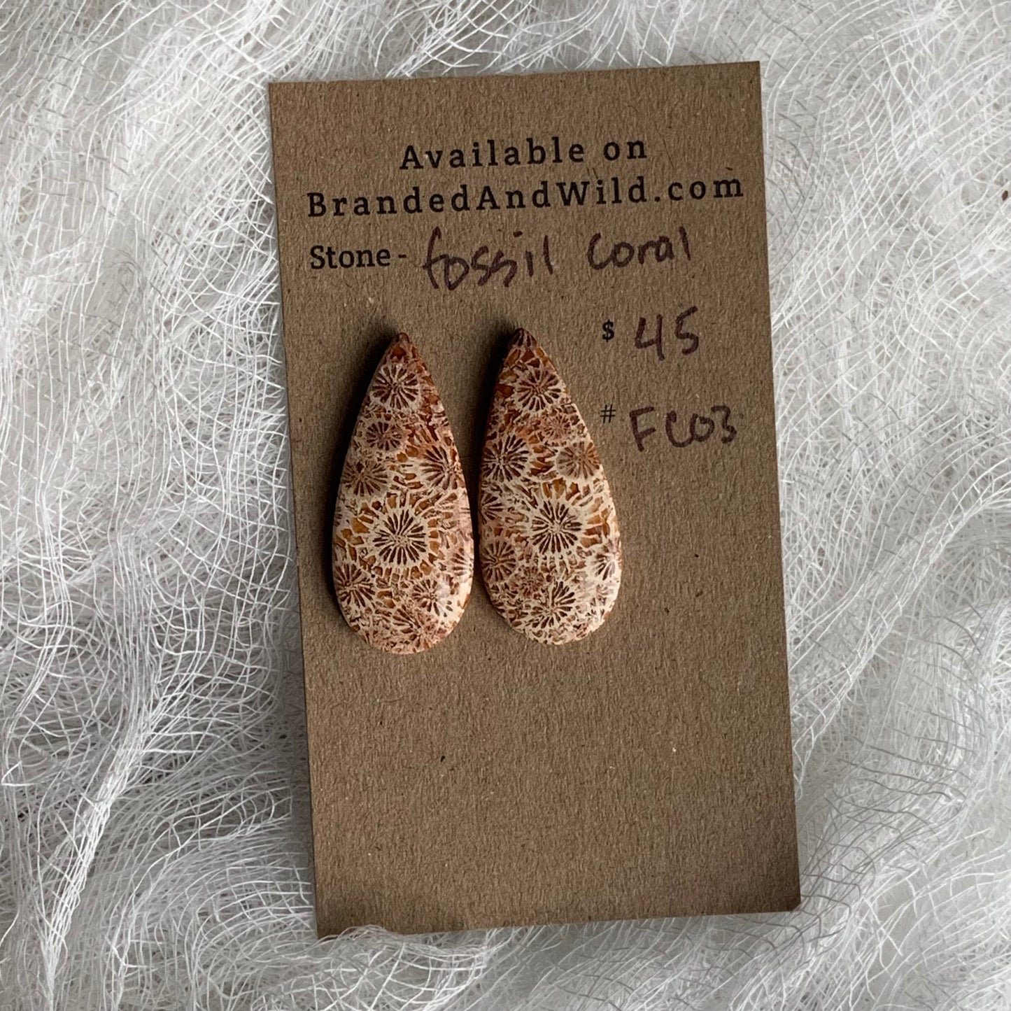 Fossil Coral Cabochon - FC03