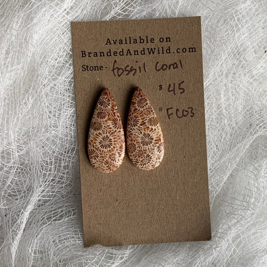 Fossil Coral Cabochon - FC03