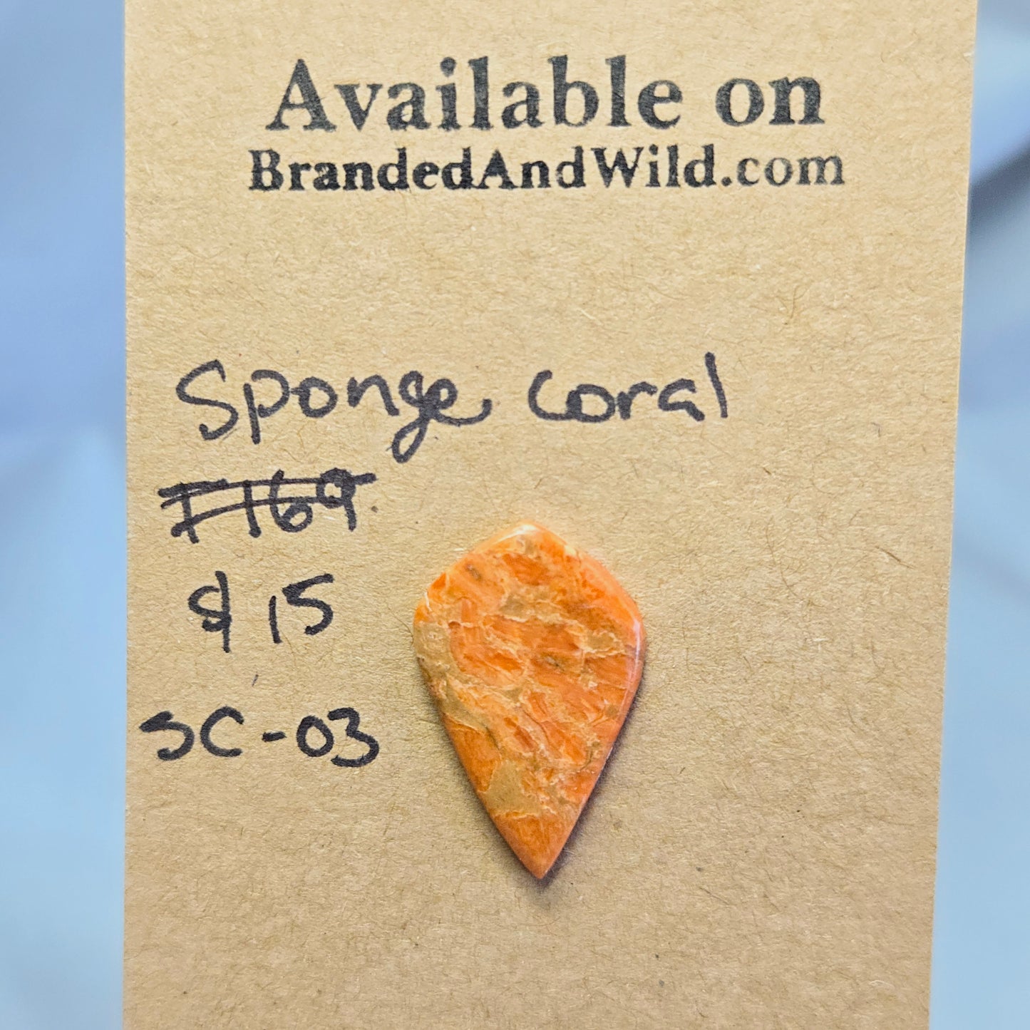 Sponge Coral Cabochon - SC-03