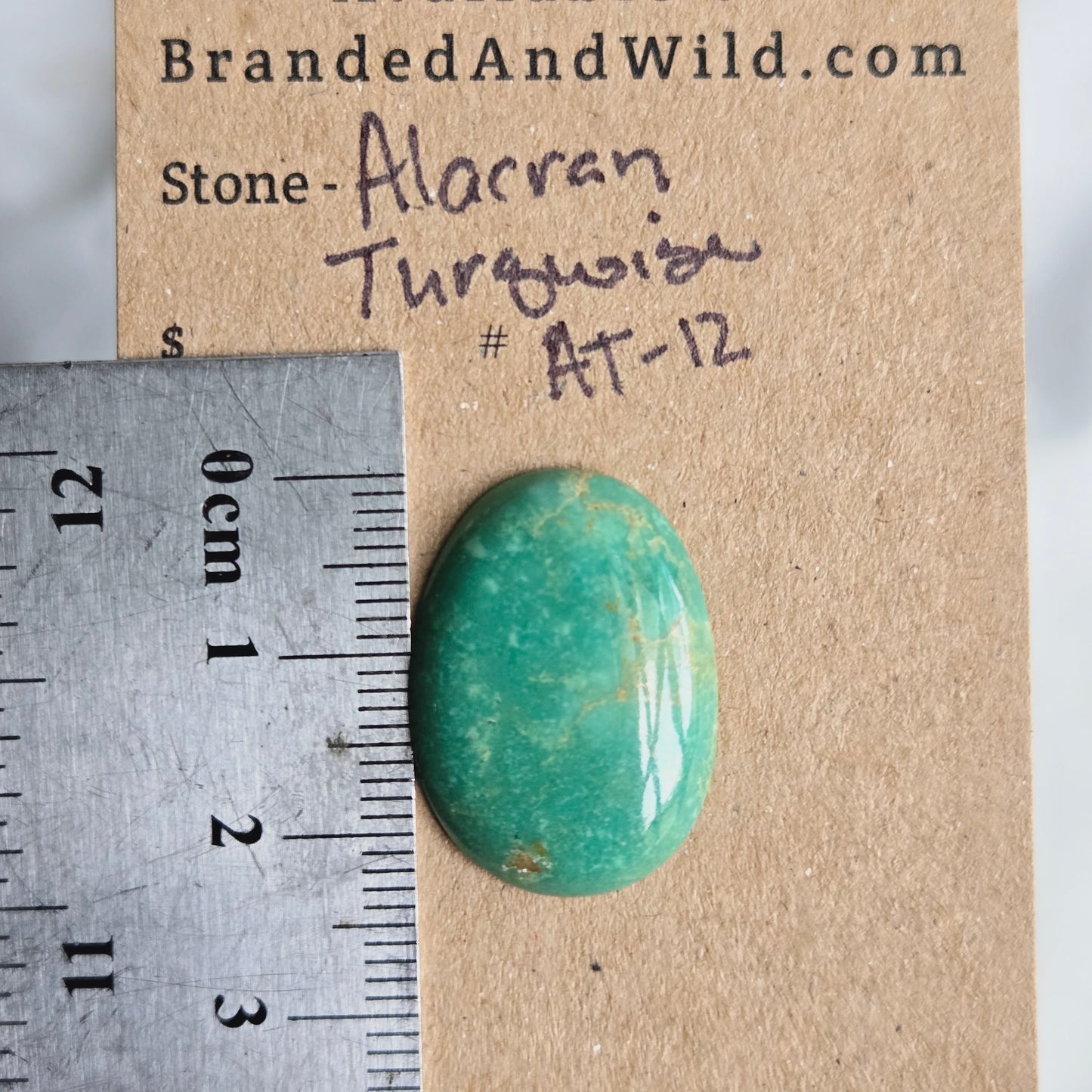 Alacran Turquoise Cabochon - AT-12